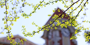 4118云顶集团·(中国)股份有限公司