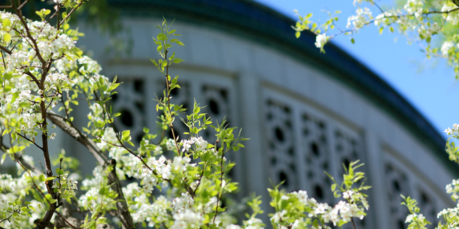 4118云顶集团·(中国)股份有限公司