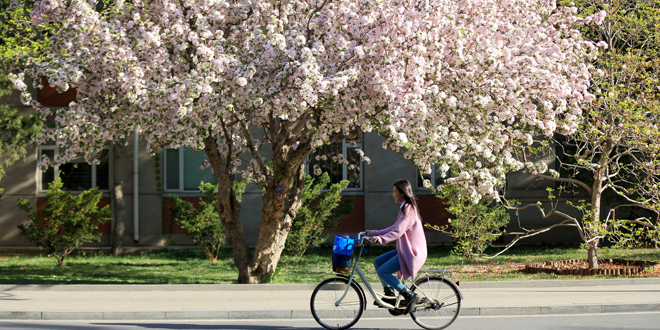 4118云顶集团·(中国)股份有限公司