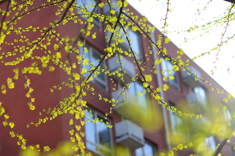 4118云顶集团·(中国)股份有限公司