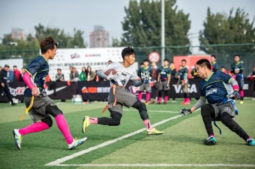 4118云顶集团·(中国)股份有限公司