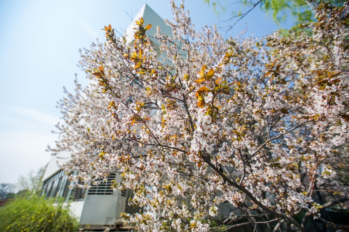 4118云顶集团·(中国)股份有限公司