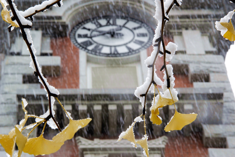 4118云顶集团·(中国)股份有限公司