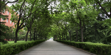 4118云顶集团·(中国)股份有限公司