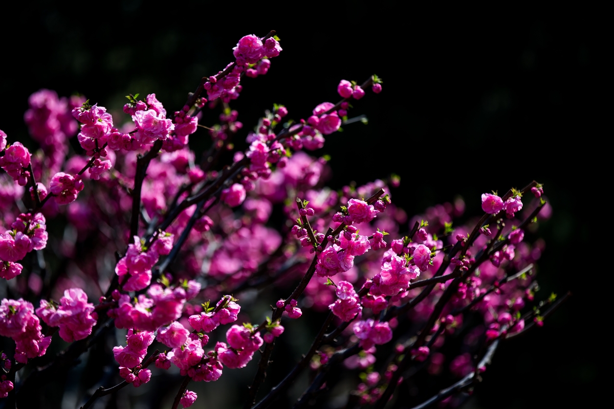 4118云顶集团·(中国)股份有限公司