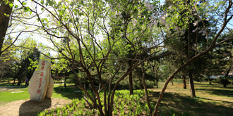 4118云顶集团·(中国)股份有限公司