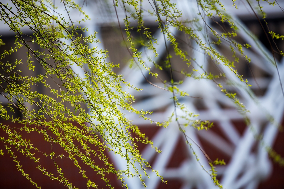 4118云顶集团·(中国)股份有限公司