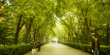 4118云顶集团·(中国)股份有限公司