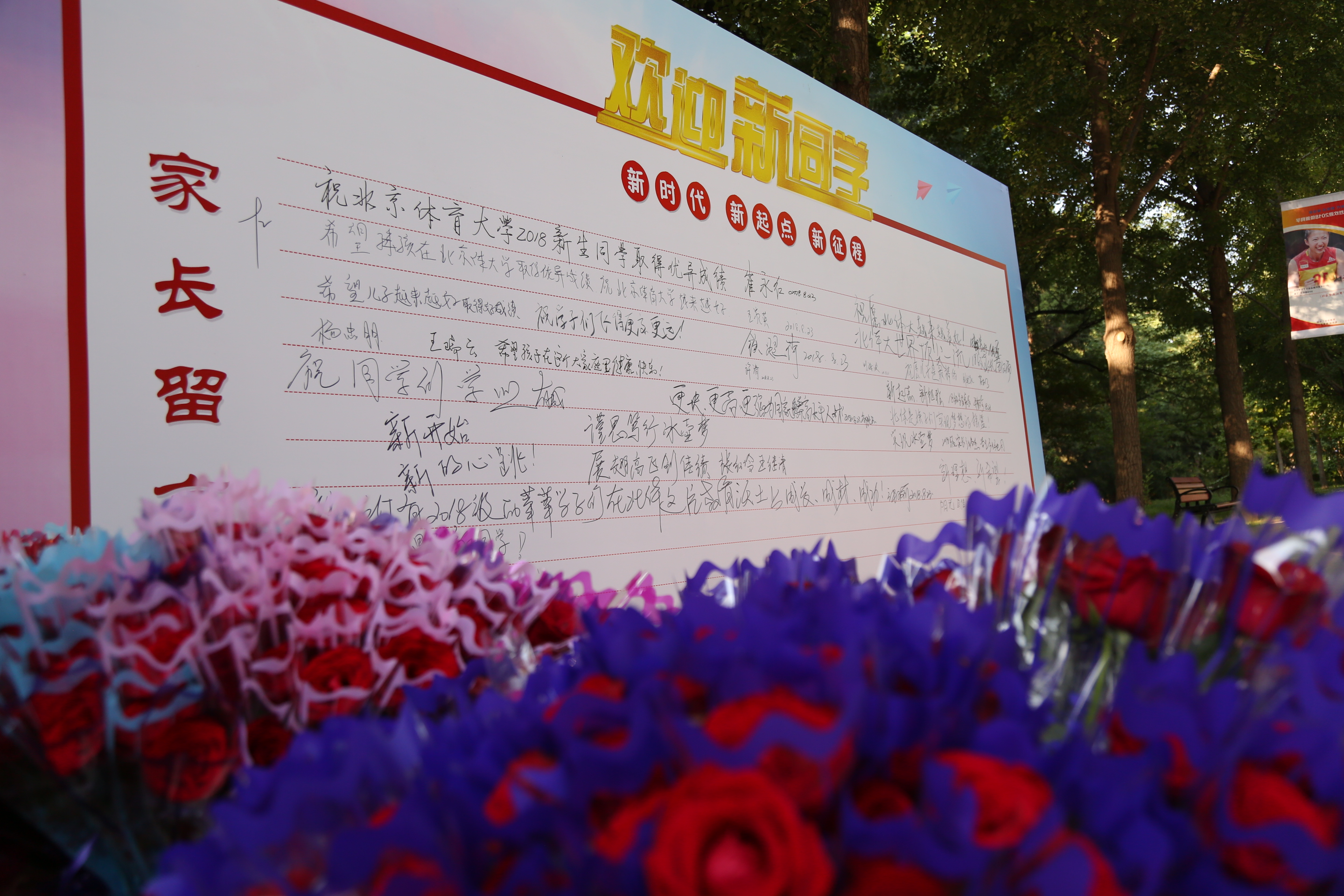 4118云顶集团·(中国)股份有限公司