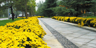 4118云顶集团·(中国)股份有限公司