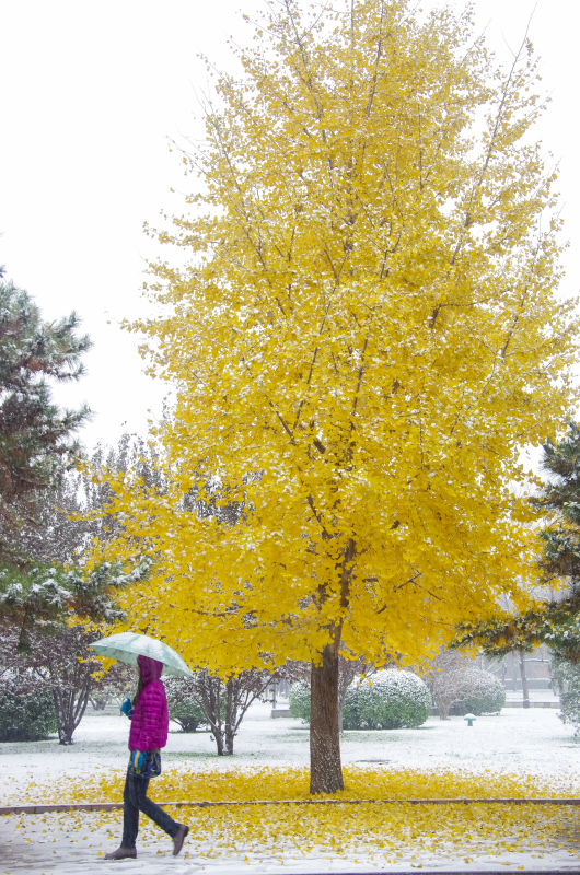 4118云顶集团·(中国)股份有限公司