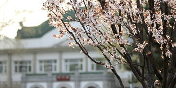 4118云顶集团·(中国)股份有限公司