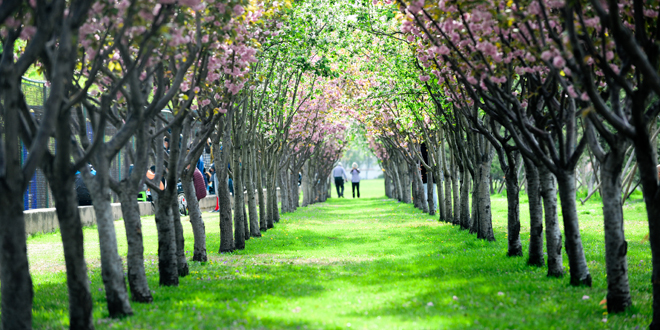 4118云顶集团·(中国)股份有限公司