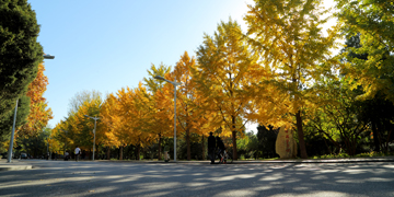 4118云顶集团·(中国)股份有限公司