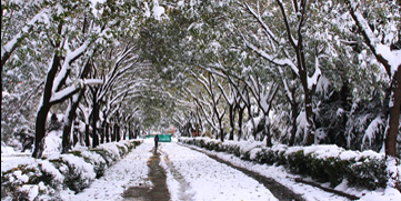 4118云顶集团·(中国)股份有限公司