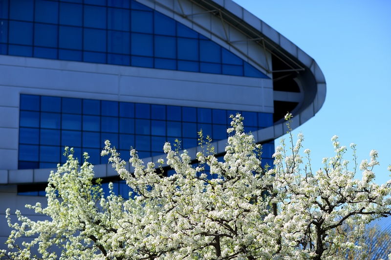 4118云顶集团·(中国)股份有限公司