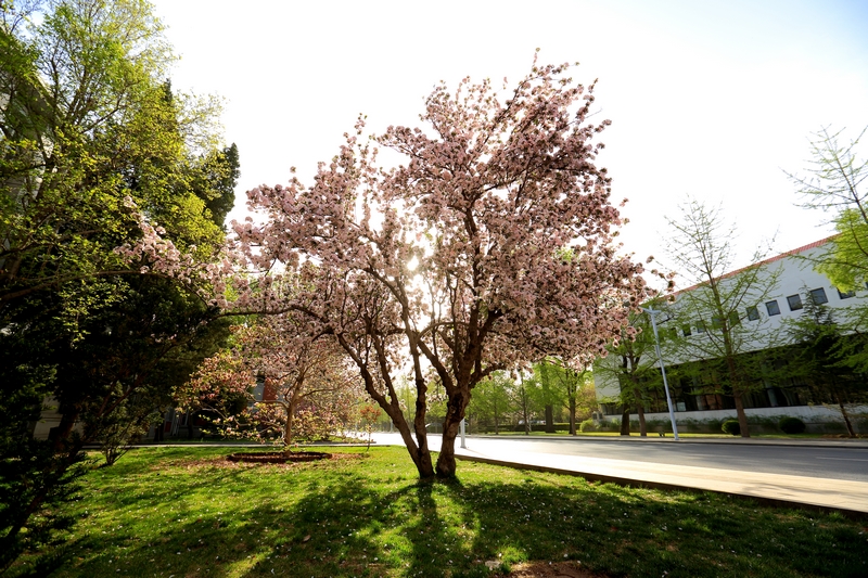 4118云顶集团·(中国)股份有限公司