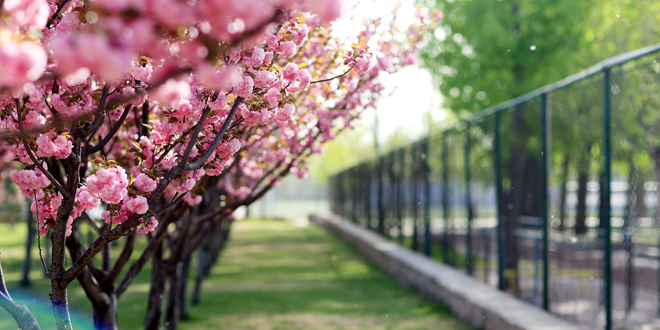 4118云顶集团·(中国)股份有限公司