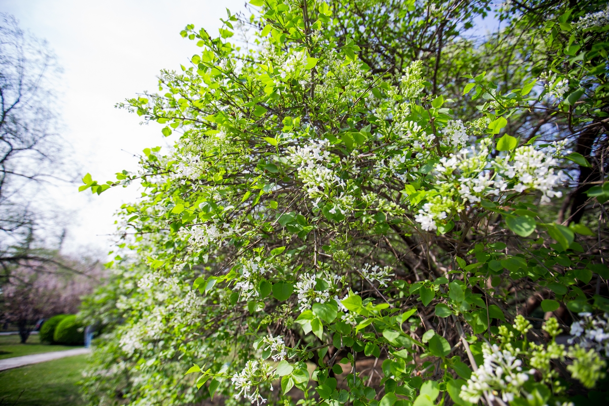 4118云顶集团·(中国)股份有限公司