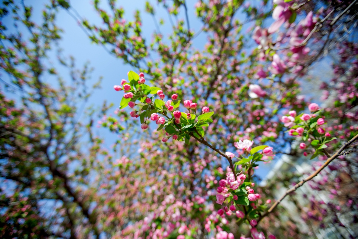 4118云顶集团·(中国)股份有限公司