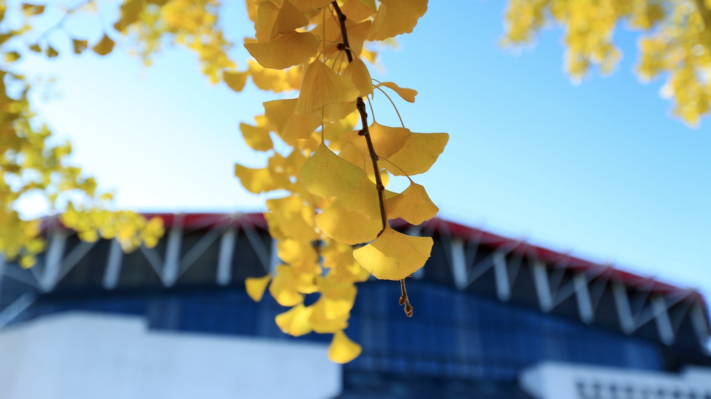 4118云顶集团·(中国)股份有限公司