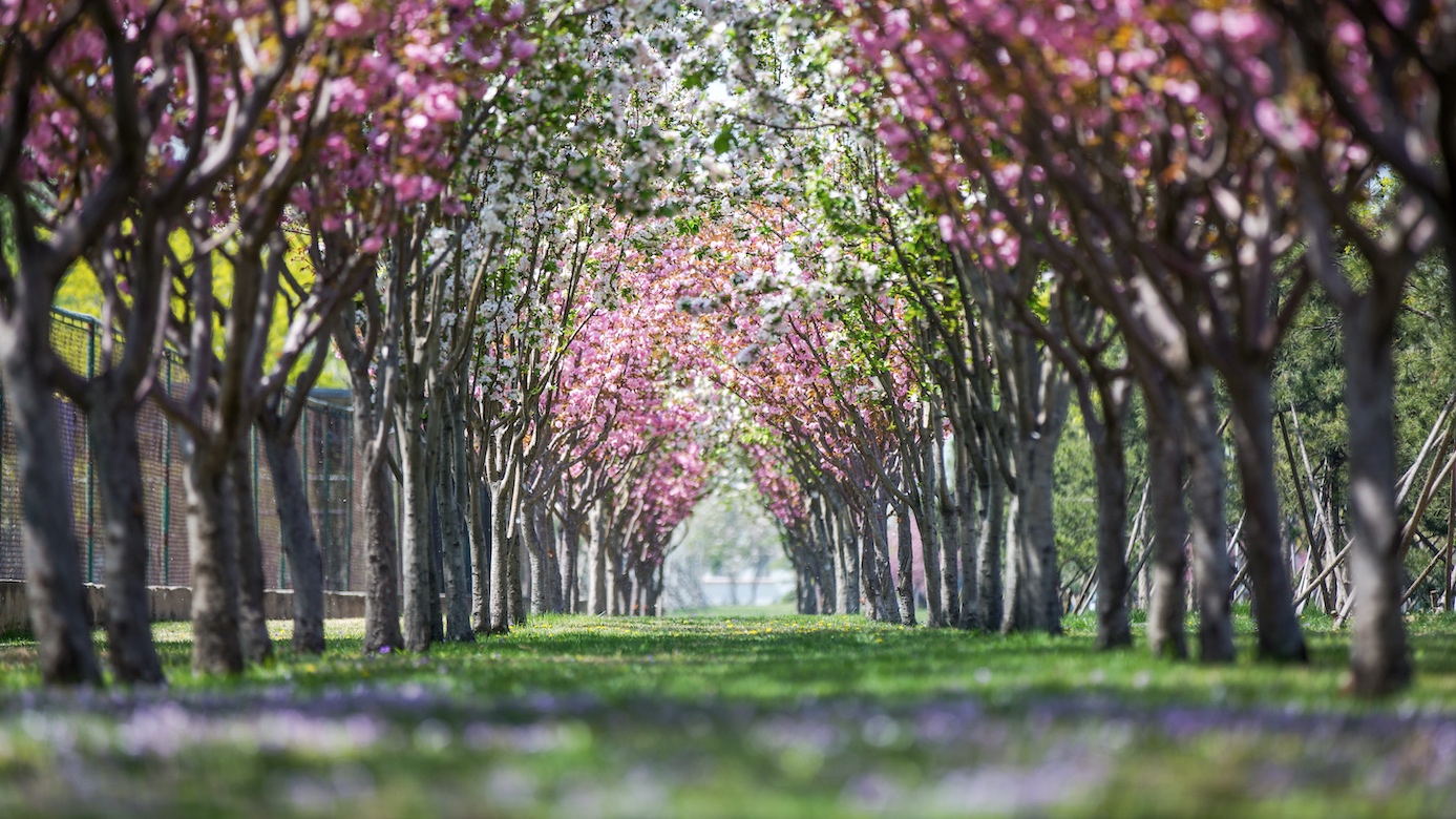 4118云顶集团·(中国)股份有限公司