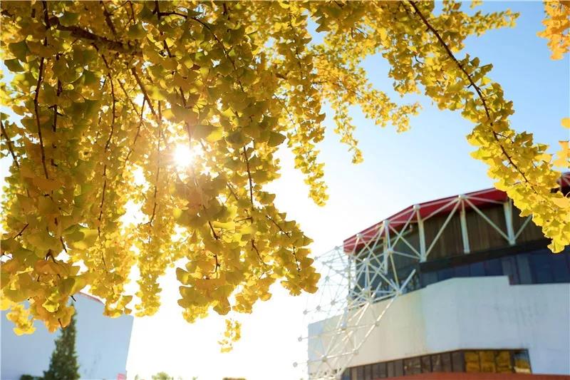 4118云顶集团·(中国)股份有限公司