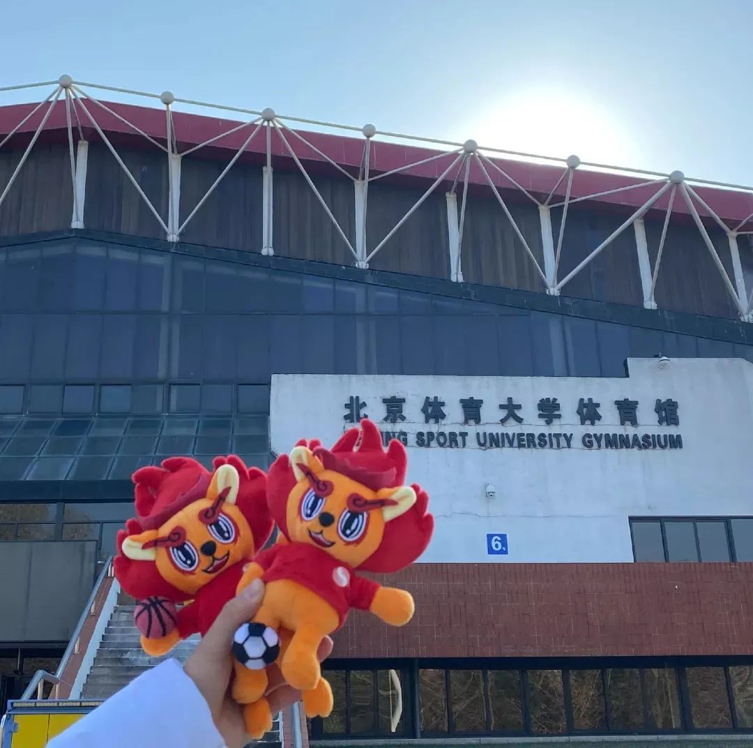 4118云顶集团·(中国)股份有限公司