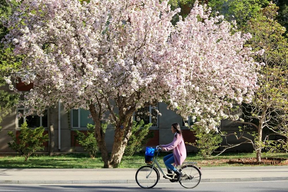 4118云顶集团·(中国)股份有限公司