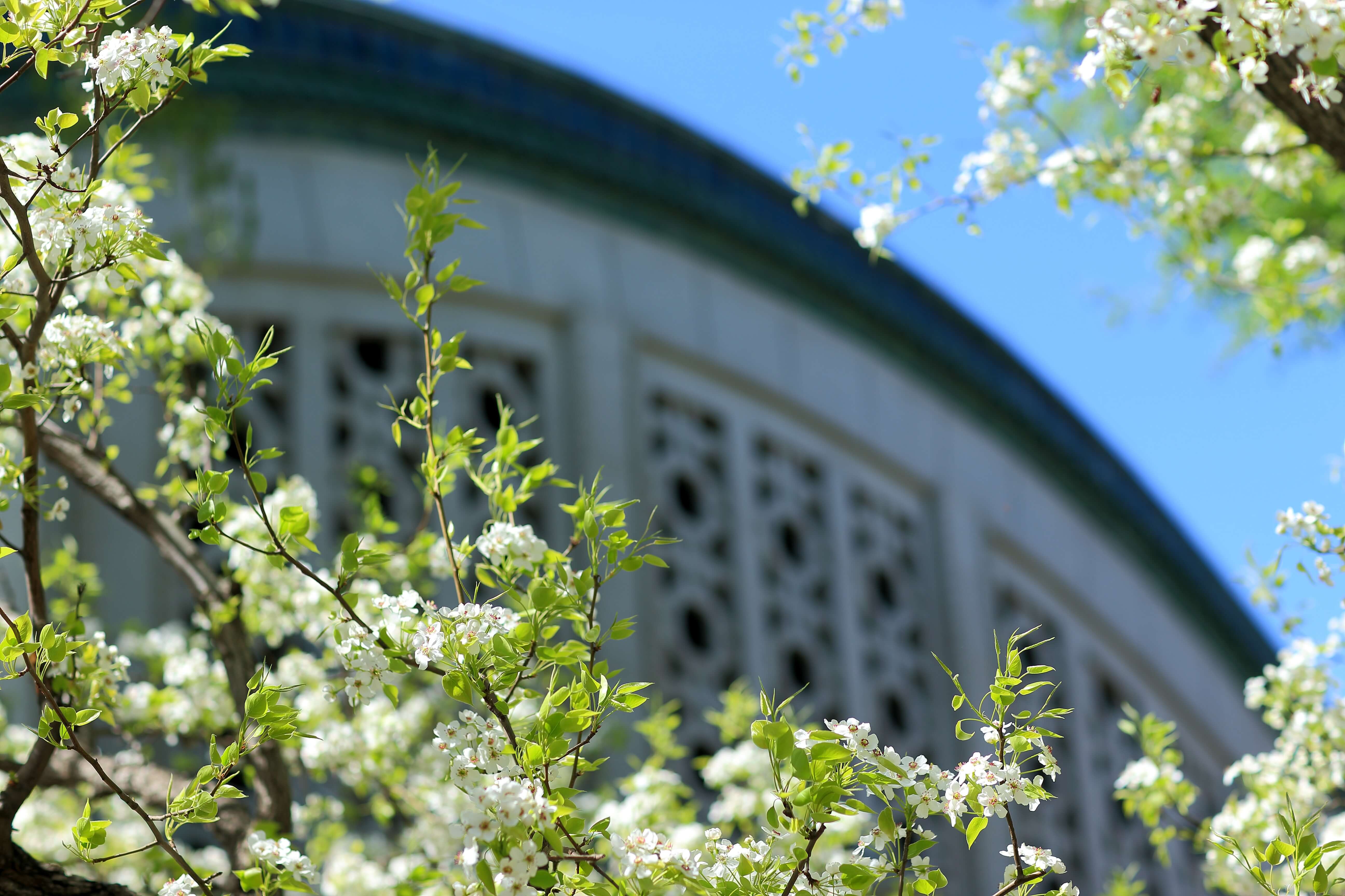 4118云顶集团·(中国)股份有限公司