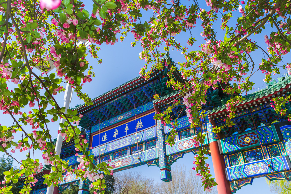 4118云顶集团·(中国)股份有限公司