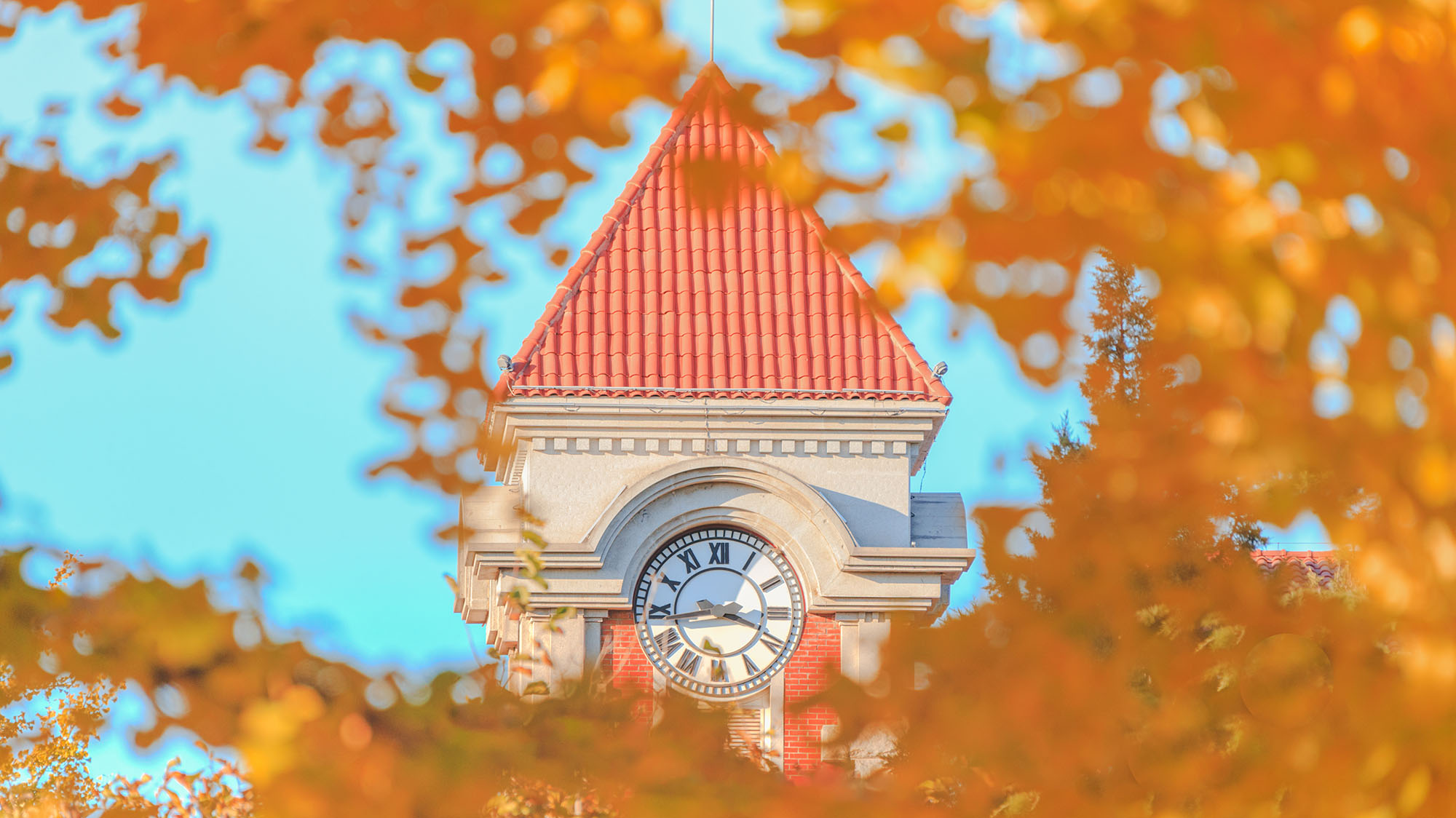 4118云顶集团·(中国)股份有限公司