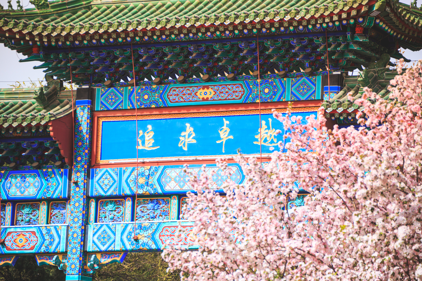 4118云顶集团·(中国)股份有限公司