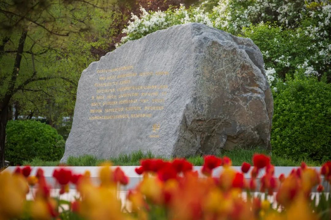 4118云顶集团·(中国)股份有限公司