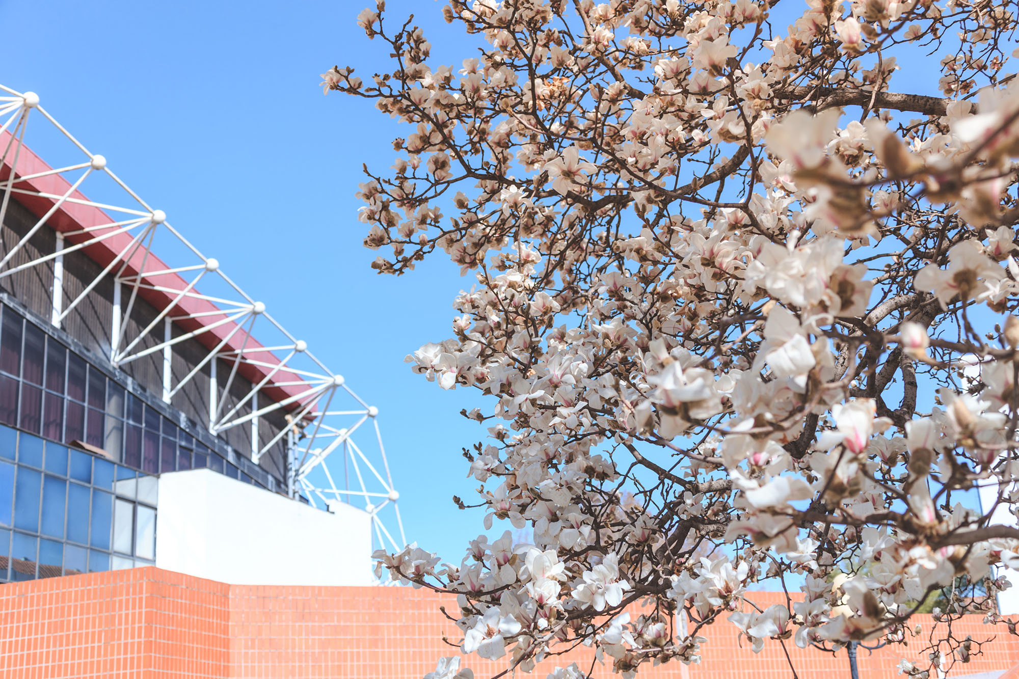 4118云顶集团·(中国)股份有限公司